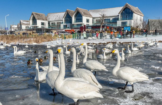 ???? ???? ???????????????????????