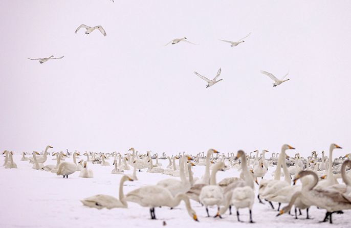 ???? ???? ???????????????????????