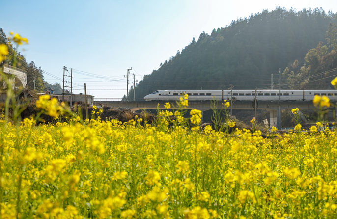 ????????????????????????????? 