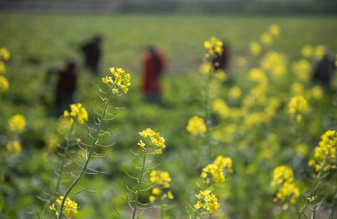 ????????????????????????????? 