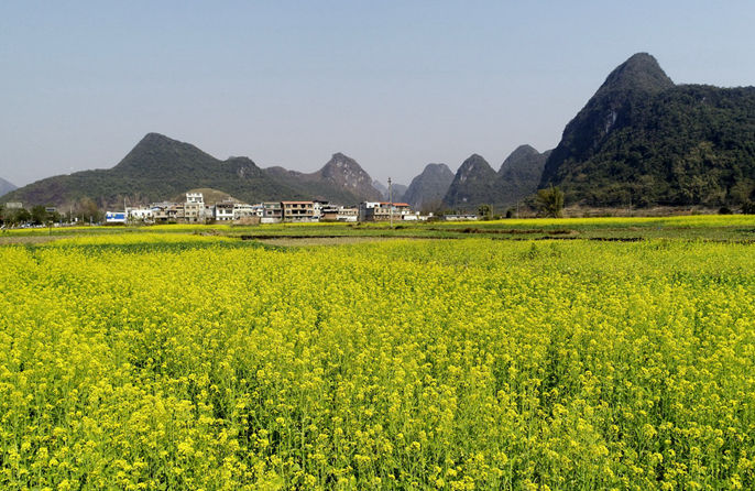 ????????????????????????????? 