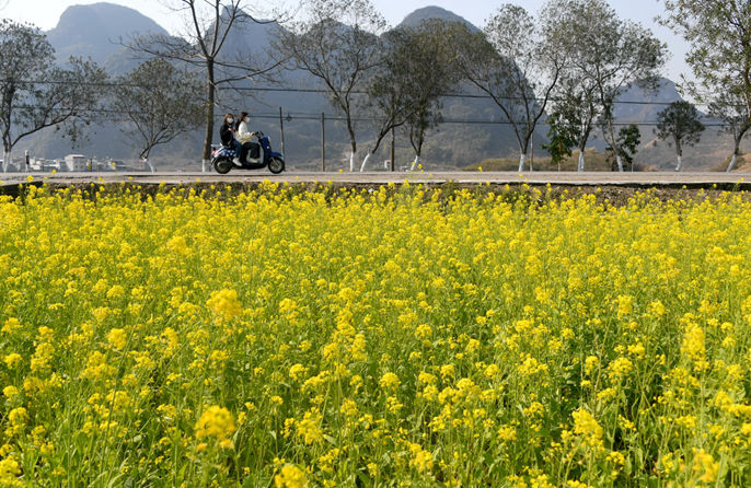 ????????????????????????????? 