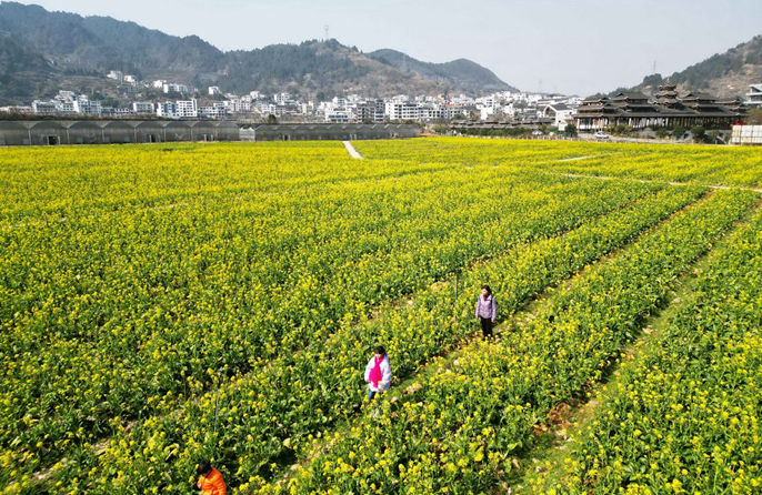 ????????????????????????????? 