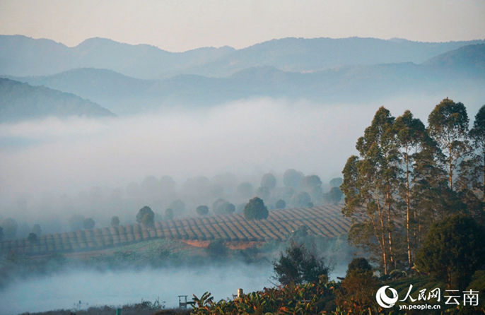 ???! ???????????????????????????????????????????????????????????????