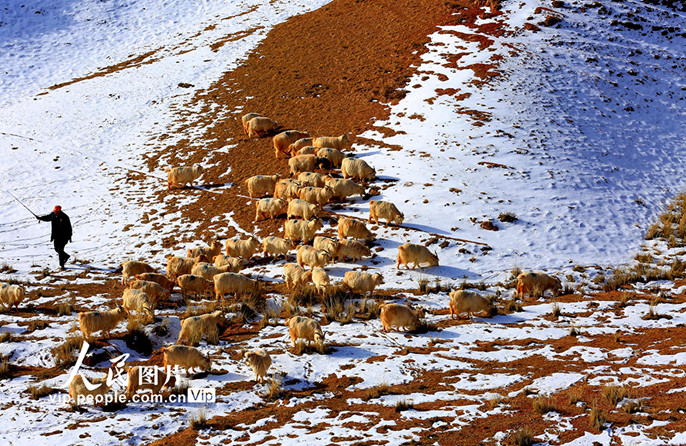 ??????????????????????????????