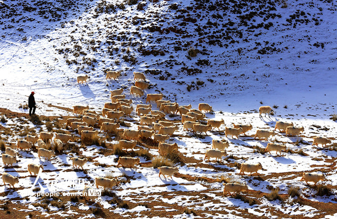 ??????????????????????????????