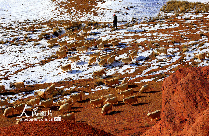 ??????????????????????????????