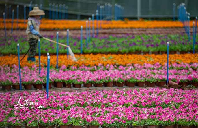 ???????????????????????????????????????????????