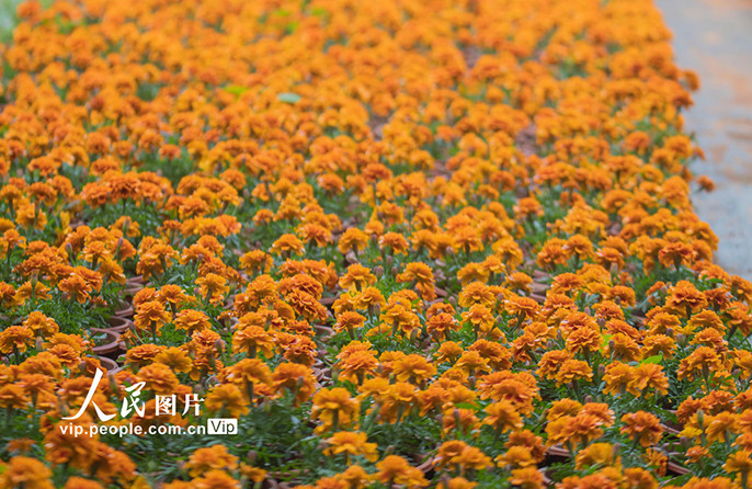 ???????????????????????????????????????????????