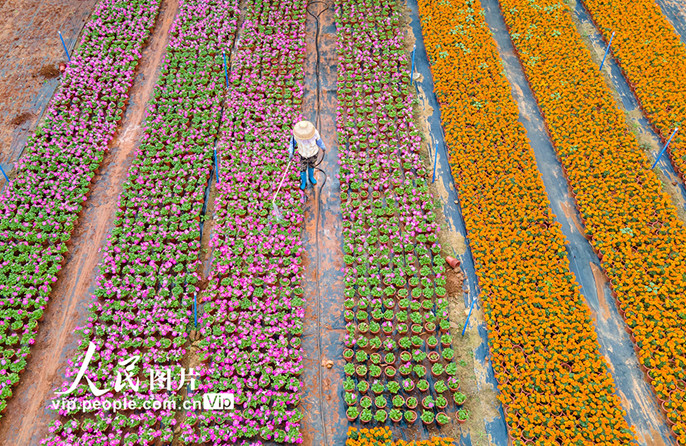 ???????????????????????????????????????????????