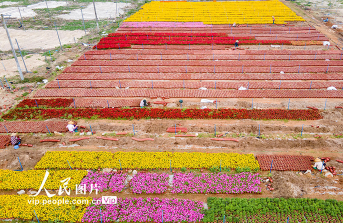 ???????????????????????????????????????????????