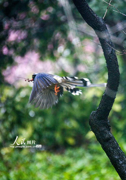 ?????????????????????????????