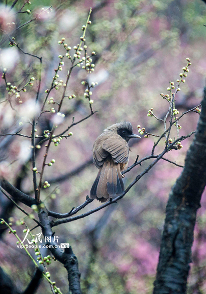 ?????????????????????????????