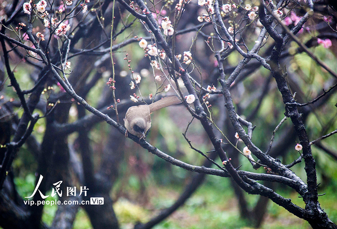 ?????????????????????????????