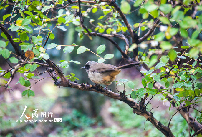 ?????????????????????????????