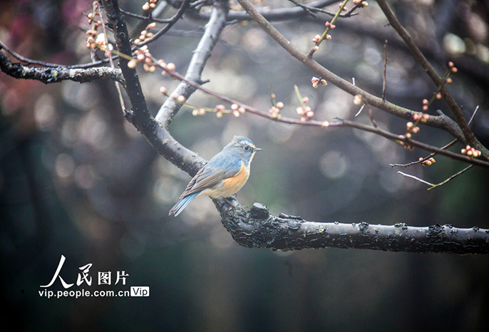 ?????????????????????????????