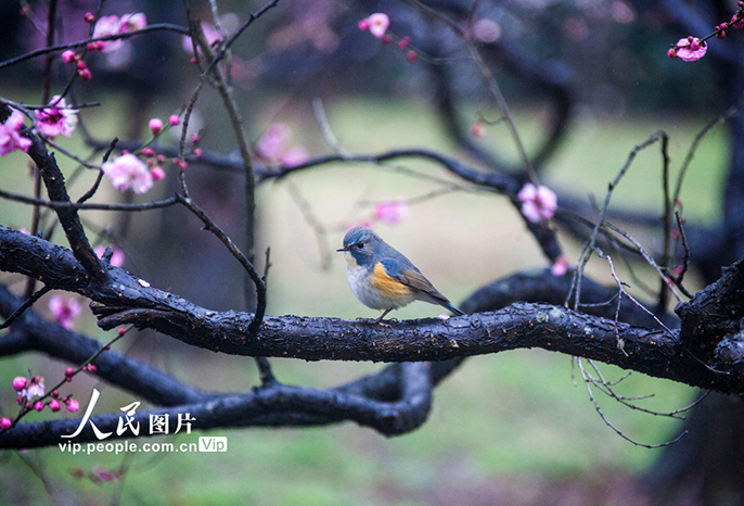 ?????????????????????????????