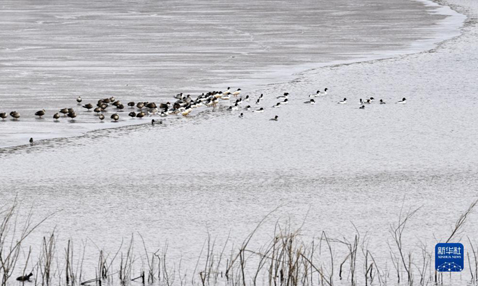 ?????????????????????????????????