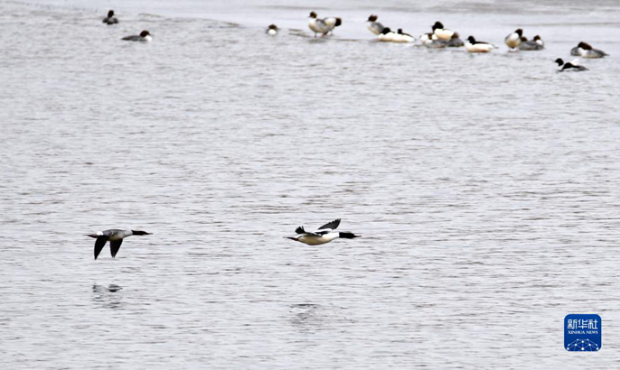 ?????????????????????????????????