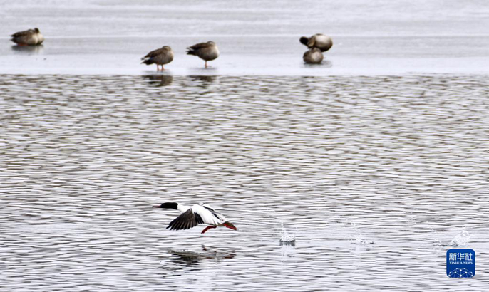 ?????????????????????????????????