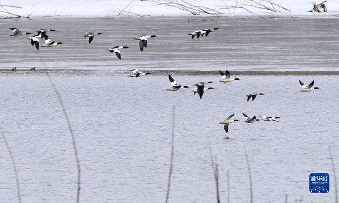 ?????????????????????????????????