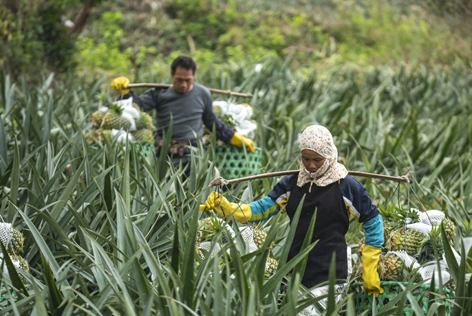 ????????????? ?????:????????????????????