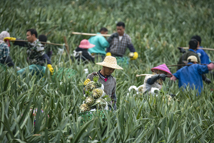 ????????????? ?????:????????????????????