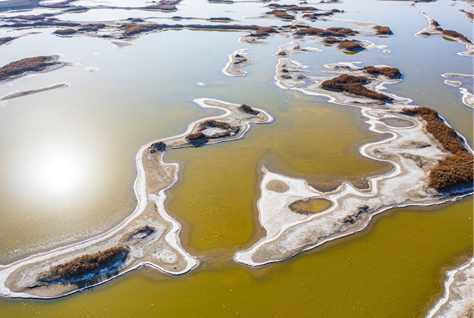 ?????????????????????????????????????????????