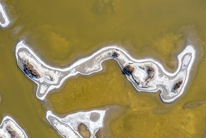 ?????????????????????????????????????????????