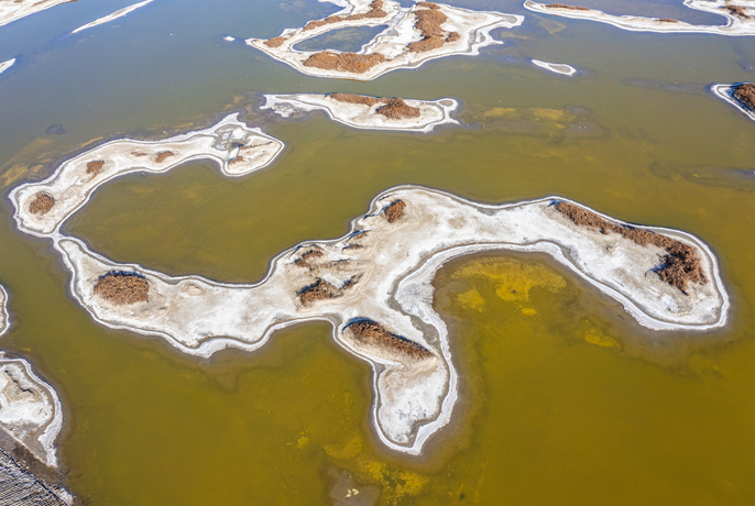 ?????????????????????????????????????????????