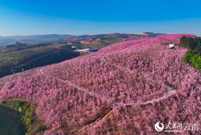 ???????????????????????????????????????????????????????????????????????????????????????(Yiliang) ???????????? ?????????????????????????????????????????????(?????????? ??????/???.????????????????????)