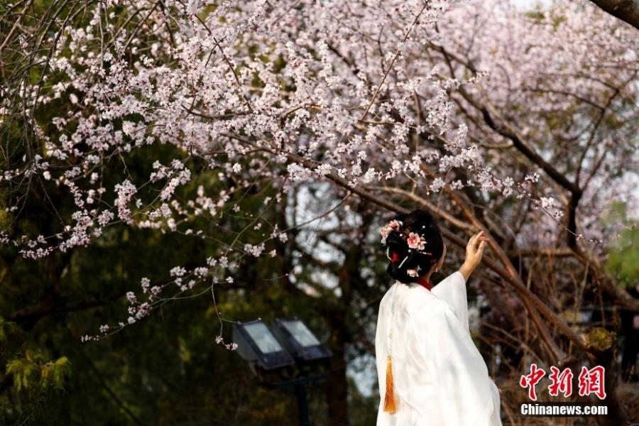 ?????????????????????????????????????????