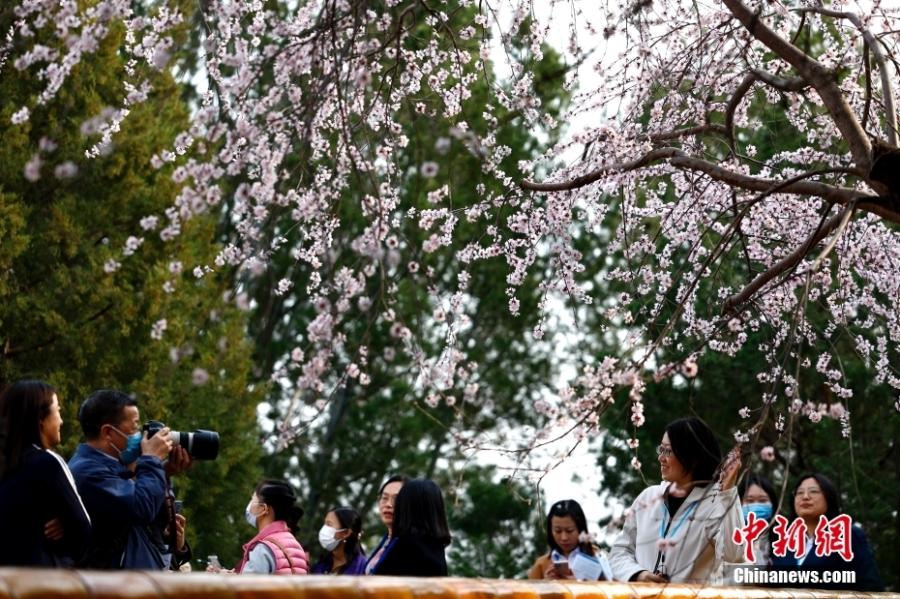 ?????????????????????????????????????????