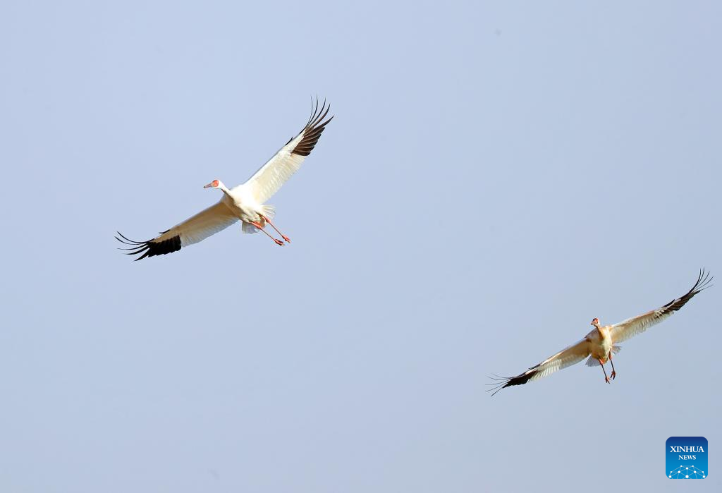 ???????????? ? ?????????????????????????????? ???????????????????????????