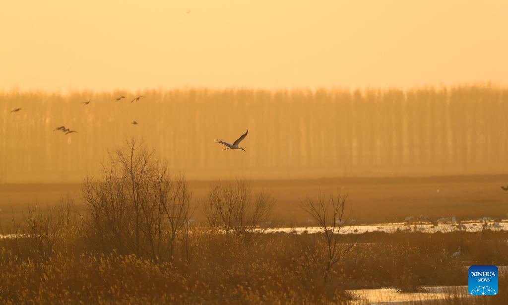 ???????????? ? ?????????????????????????????? ???????????????????????????