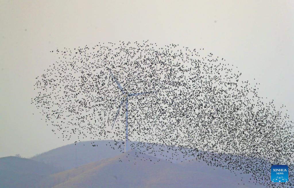 ???????????? ? ?????????????????????????????? ???????????????????????????