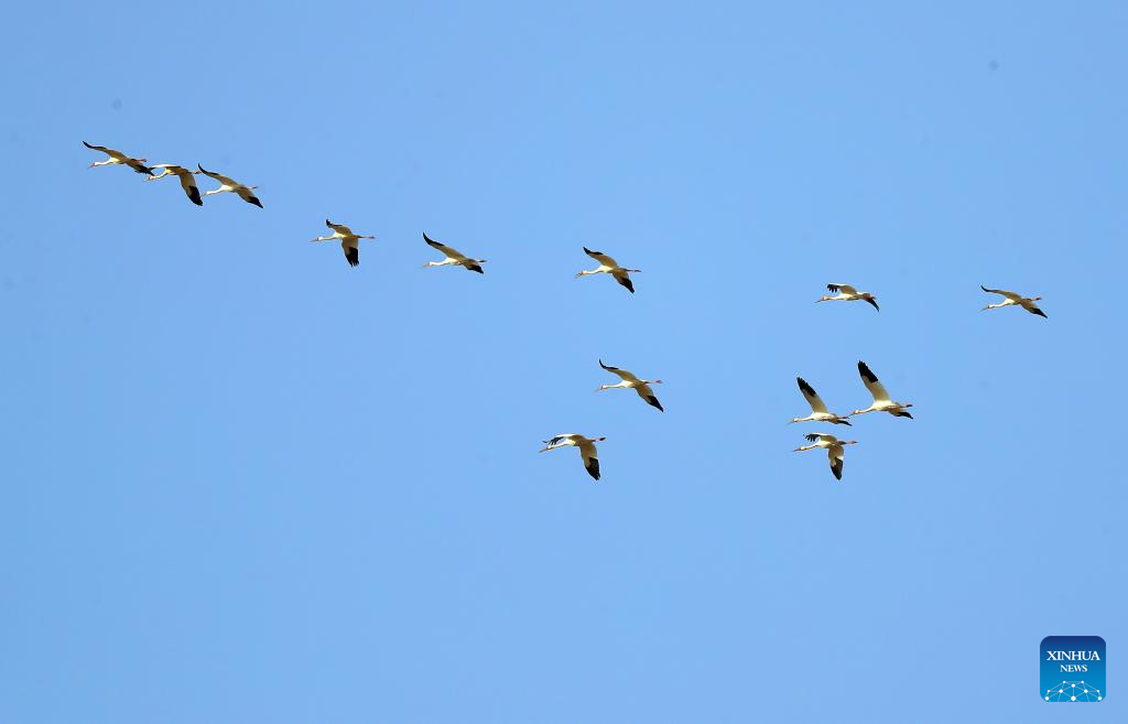 ???????????? ? ?????????????????????????????? ???????????????????????????