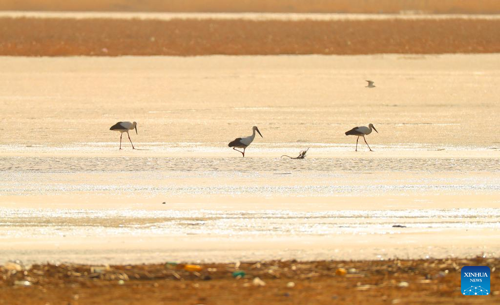 ???????????? ? ?????????????????????????????? ???????????????????????????