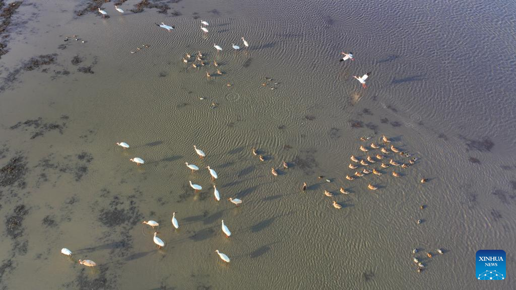 ???????????? ? ?????????????????????????????? ???????????????????????????