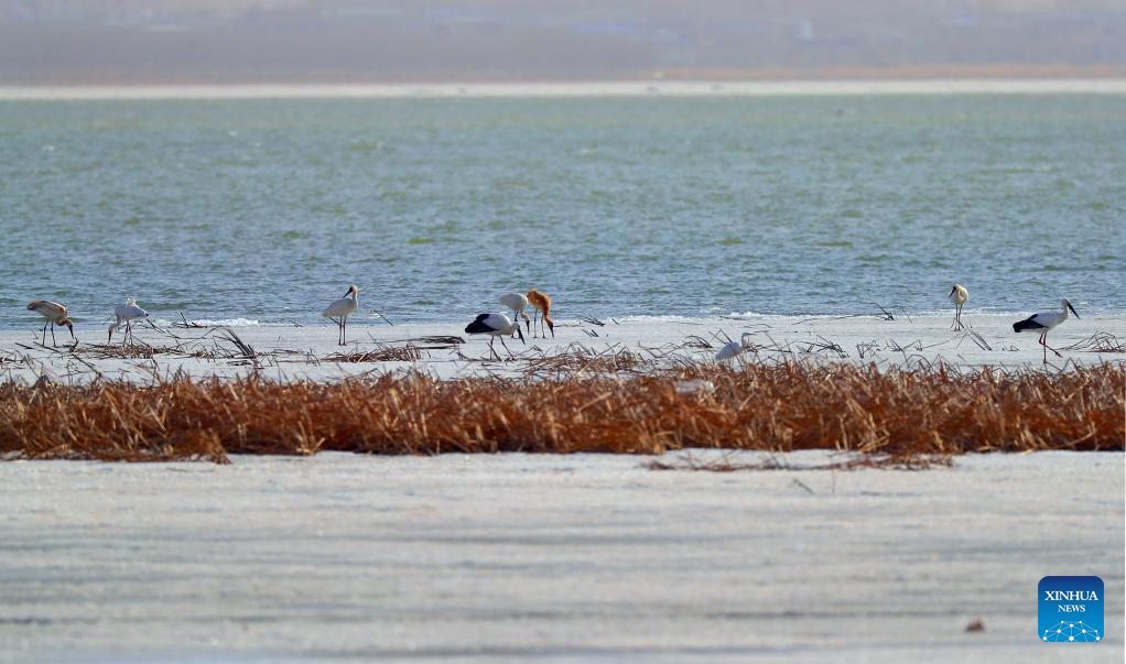 ???????????? ? ?????????????????????????????? ???????????????????????????