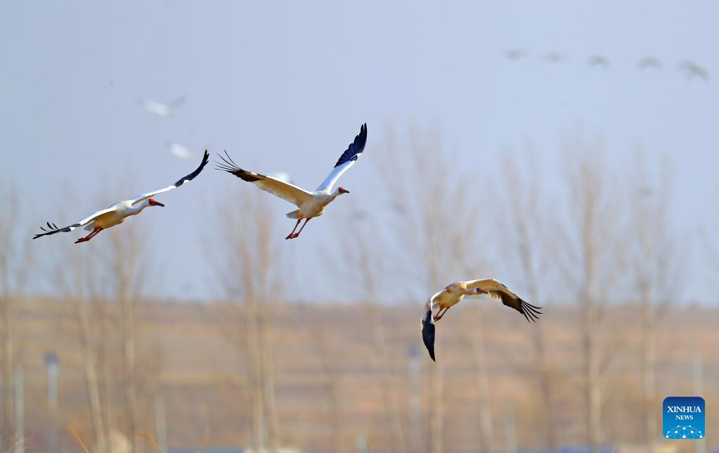 ???????????? ? ?????????????????????????????? ???????????????????????????