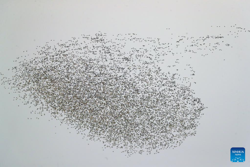 ???????????? ? ?????????????????????????????? ???????????????????????????