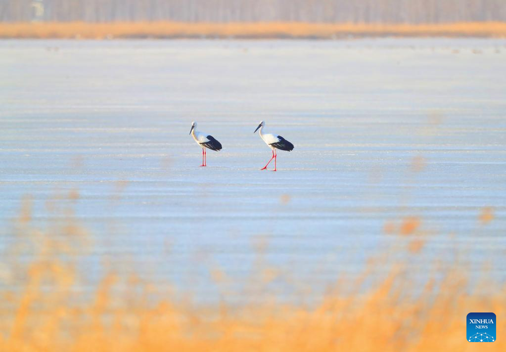 ???????????? ? ?????????????????????????????? ???????????????????????????