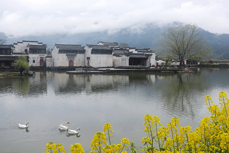 ???????????????????: ????????????????????????????????