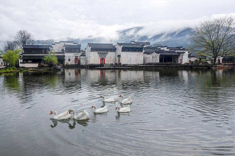 ???????????????????: ????????????????????????????????