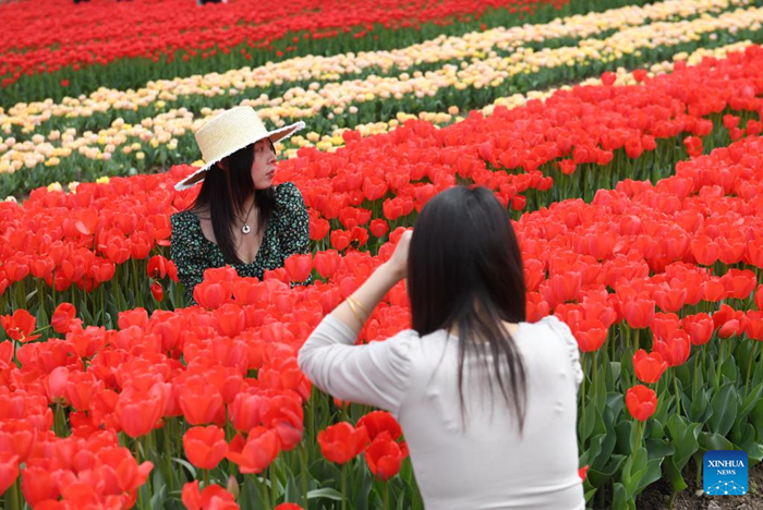 ???????????????????????????????????????????????????????????????????