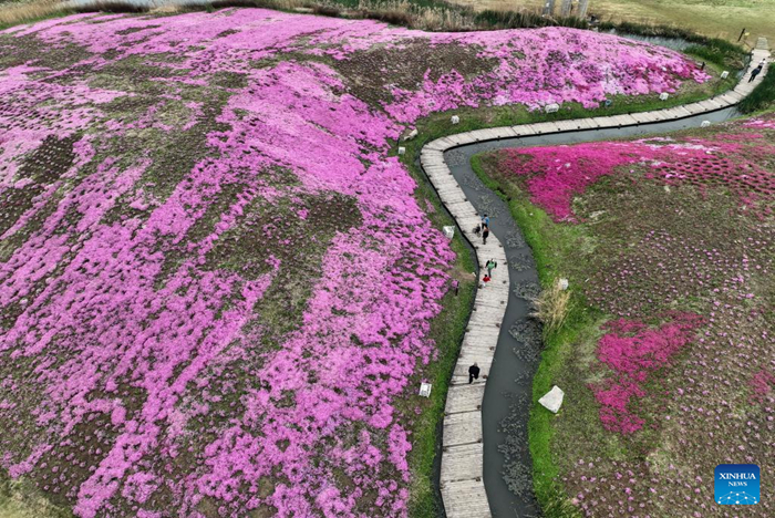 ??????????????????????????????????????????