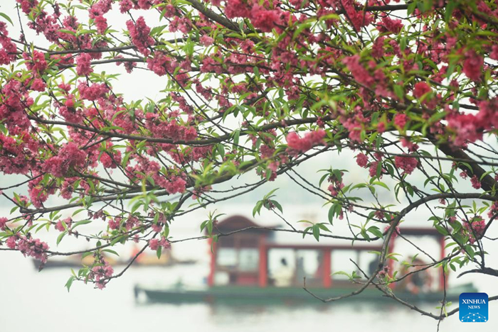 ??????????????????????????????????????????