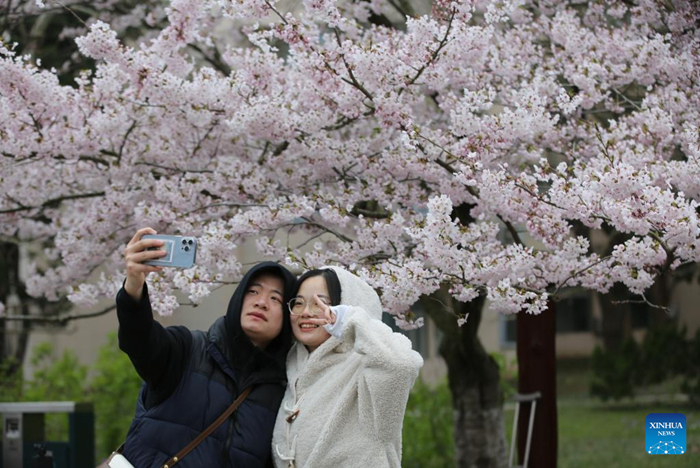 ??????????????????????????????????????????