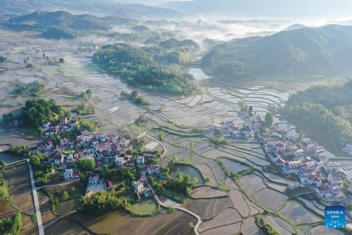 ???????????????????????????????? ??????????